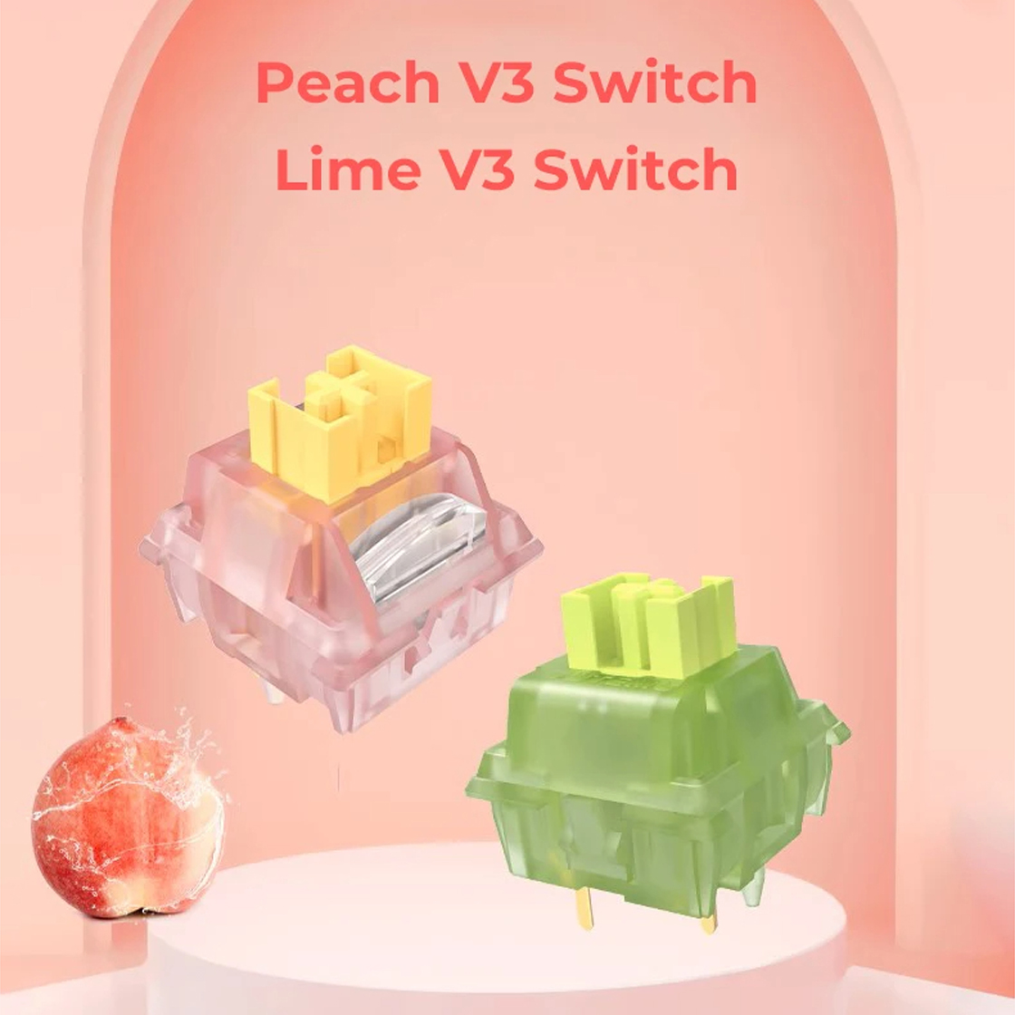 Silent Switch Mechanical Keyboard - Outemu Sessiz Dokunsal/Doğrusal Anahtar Işık Kılavuzu